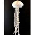 Μονόφωτο Jellyfish